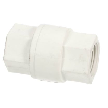 Picture of Everpure EV311450 Valve,check, 3/4 Npt Female