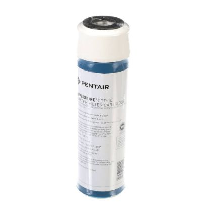 Picture of Everpure EV910811 Cgt-10