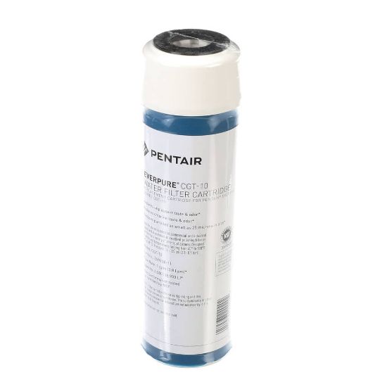 Picture of Everpure EV910811 Cgt-10