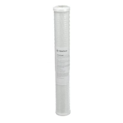 Picture of Everpure EV910863 Cg53-20