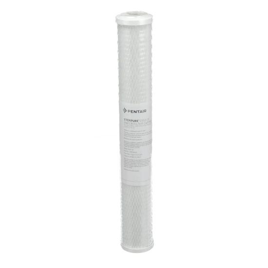 Picture of Everpure EV910863 Cg53-20