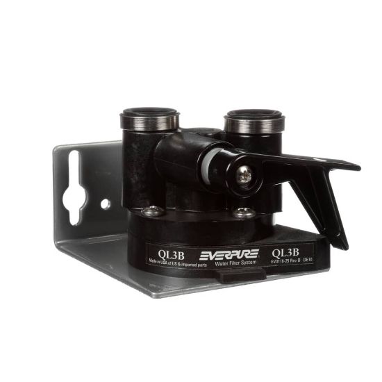 Picture of Everpure EV925924 Ql3b Head Assembly