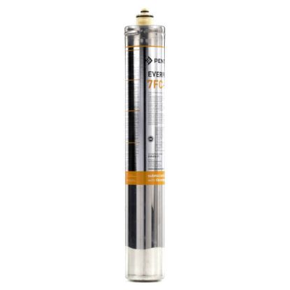 Picture of Everpure EV969271 7Fc-s Cart 1Pk
