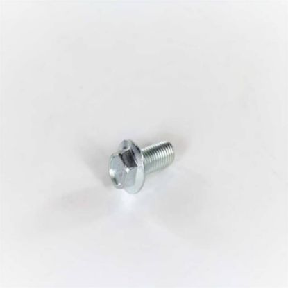Picture of Electrolux 131303700 Screw,pulley Mtg.,m10 X 0.92