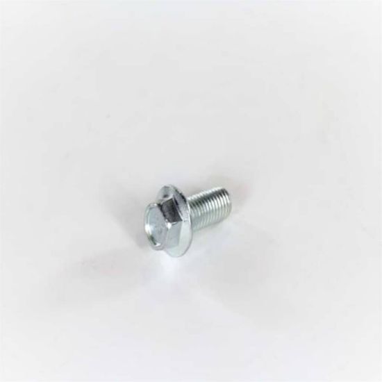 Picture of Electrolux 131303700 Screw,pulley Mtg.,m10 X 0.92