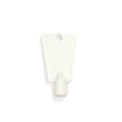 Picture of Electrolux 297147700 Key,lock