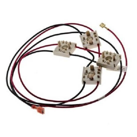 Picture of Electrolux 316219019 Wiring Harness,w/igntr Switch