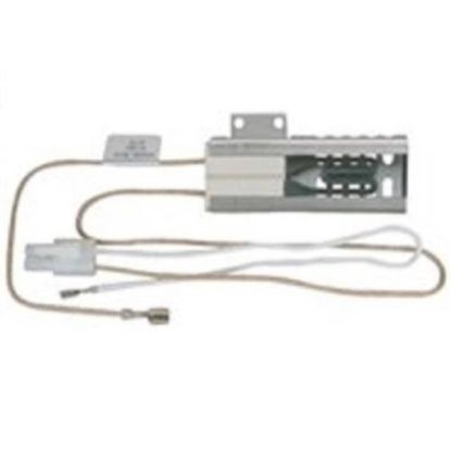 Picture of Electrolux 316T023P05 Ignitor ,Pdp,x