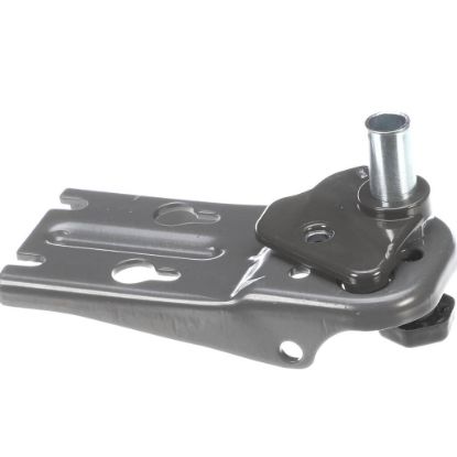 Picture of Electrolux 5304525238 Hinge Assembly,lower,rh