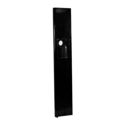 Picture of Electrolux 807460018 Dsp Door