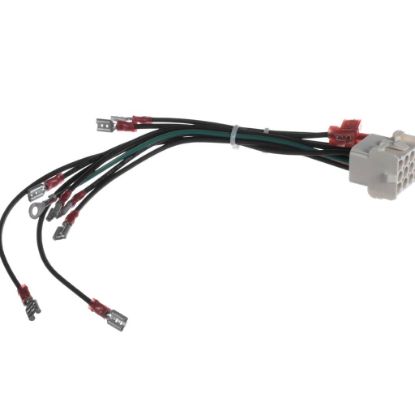 Picture of Frymaster 1061804SP Harness Assy 240V Modul Ar B/l