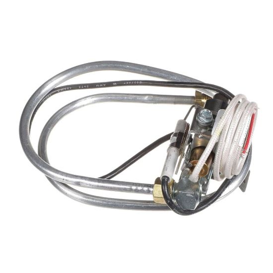 Picture of Frymaster 1061908SP Thermpile Dom Pilot Assy Nat