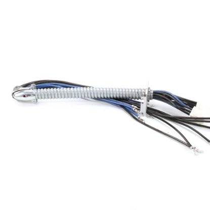 Picture of Frymaster 1066036SP Harness Assy Re Rh Elem Ent