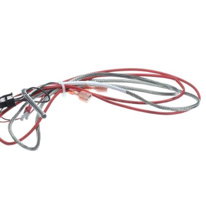 Picture of Frymaster 1080656 Ais Rtd Probe And Harness Pos1