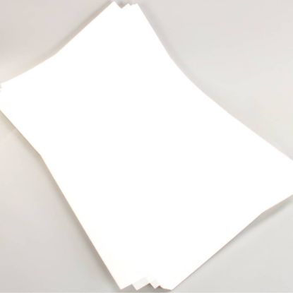 Picture of Frymaster 8030289 Filter 22 X 34 Fry