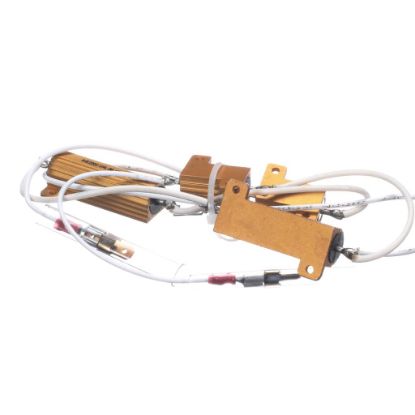 Picture of Frymaster 8069185 Resistor 230/250V F/mod B/l
