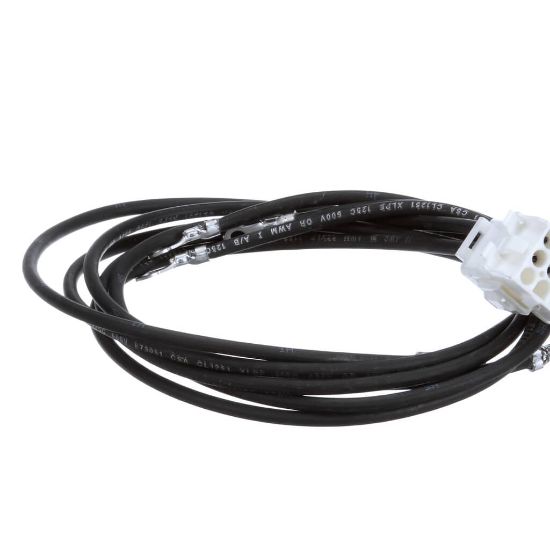 Picture of Frymaster 8068365SP Harness Hv Rt Cont H14/ 17