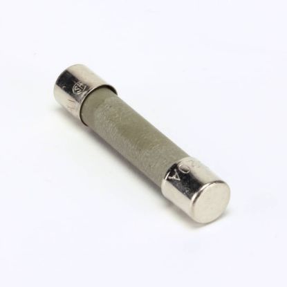 Picture of Frymaster 8072819 Ceramic Fuse