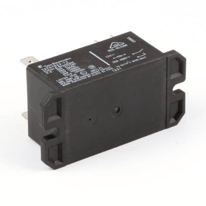 Picture of Frymaster 8073021 Relay Dbl Pull Svgl