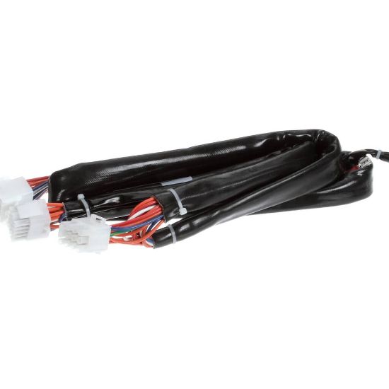 Picture of Frymaster 8074195 Harness Re Dv Controls