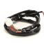 Picture of Frymaster 8074194 Re Fv Controls Harness