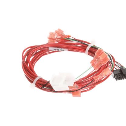 Picture of Frymaster 8074649 Harness Mib Main Pwr/le D/pan