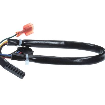 Picture of Frymaster 8075987 Harness Fenwal Module D V