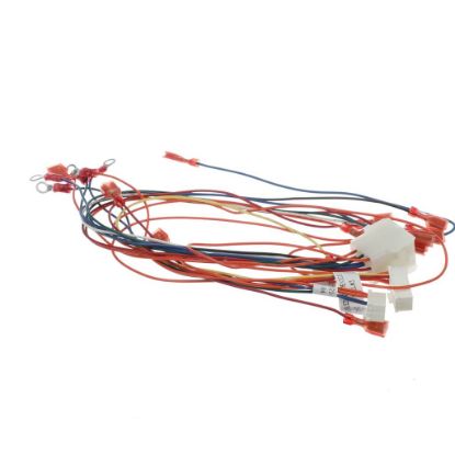 Picture of Frymaster 8076521 Harnessstp Touch Vat Controls