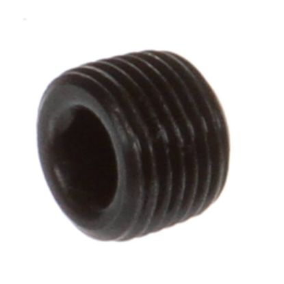 Picture of Frymaster 8130568 Plug 1/8Npt Socket-head Pipe
