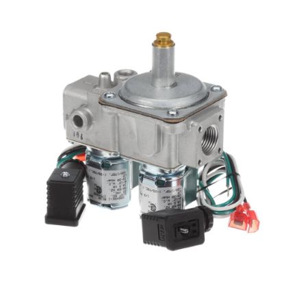 Picture of Garland 1754902 Dual Gas Solenoid Valve