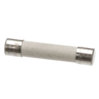 Picture of Garland 34150259 25 Amp / 250 Volt Fuse