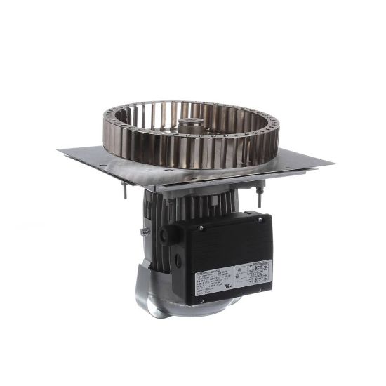 Picture of Garland 4602806 Motor Assembly - 2 Speed 115V