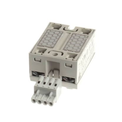 Picture of Garland 4605630 Ssr, 2 Pole 50Amp