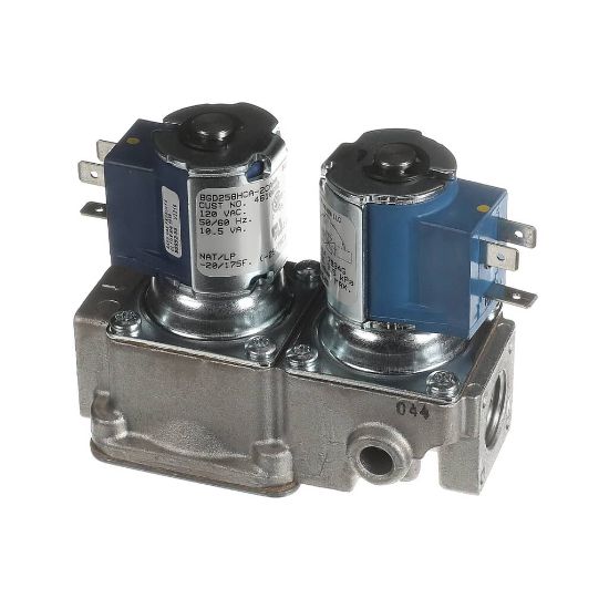 Picture of Garland 4610682 Dual Solenoid Valve