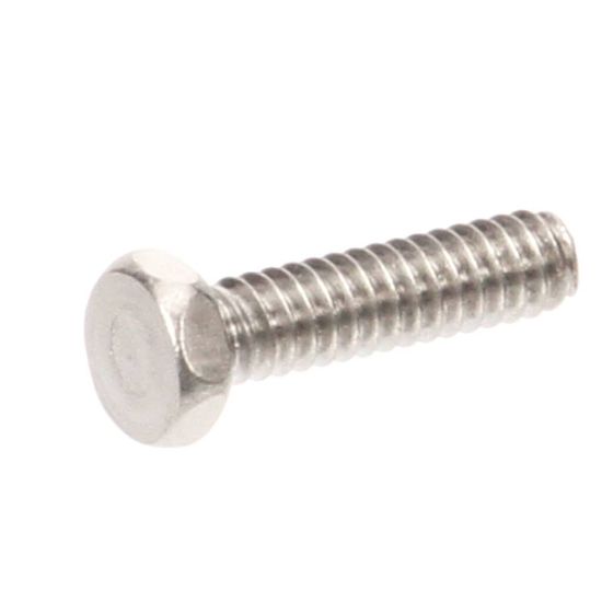 Picture of Globe 1307 Screw