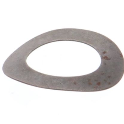 Picture of Globe 810 Motor Gear Bowed Washer