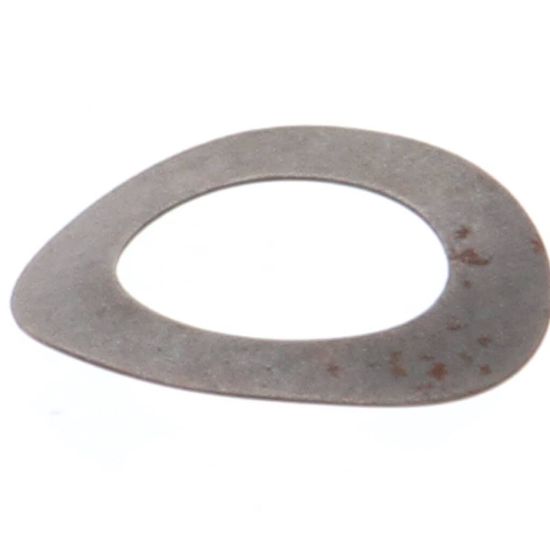 Picture of Globe 810 Motor Gear Bowed Washer