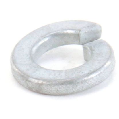 Picture of Globe 870020 Lockwasher