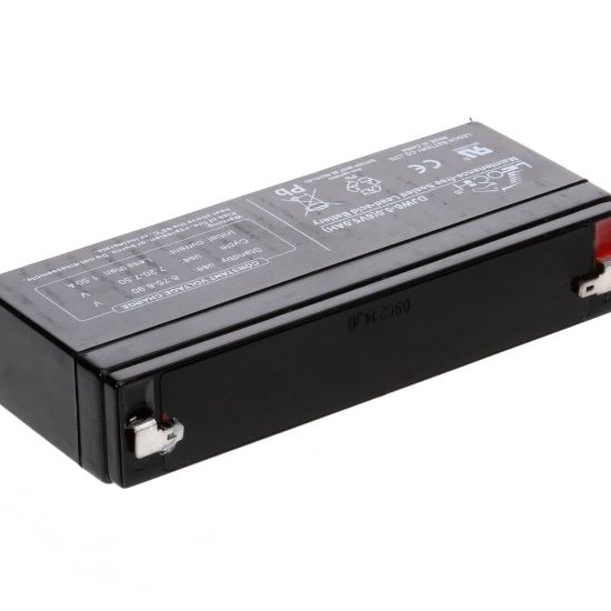 Picture of Globe E133100 Storage Battery