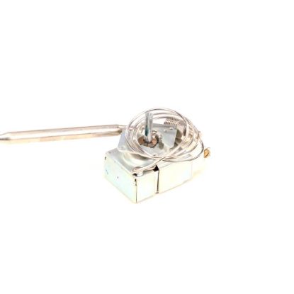 Picture of Globe K00798 Thermostat