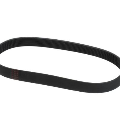 Picture of Globe L02093 Belt (5F-4236)