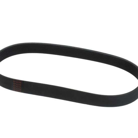 Picture of Globe L02093 Belt (5F-4236)