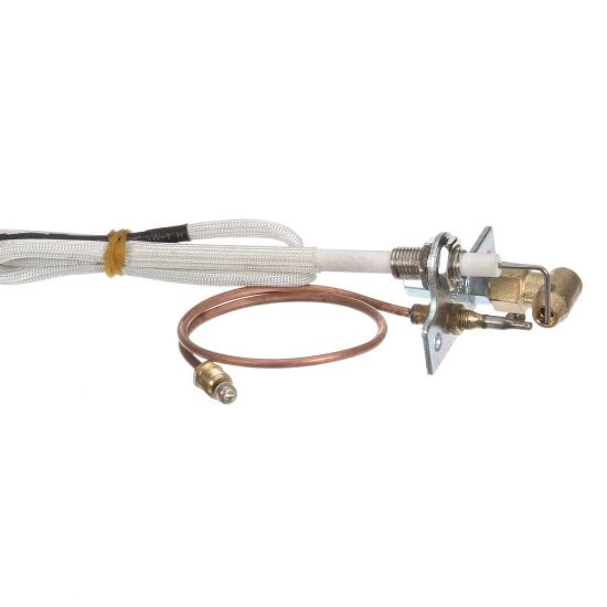 Picture of Globe U00677 Pilot Assembly