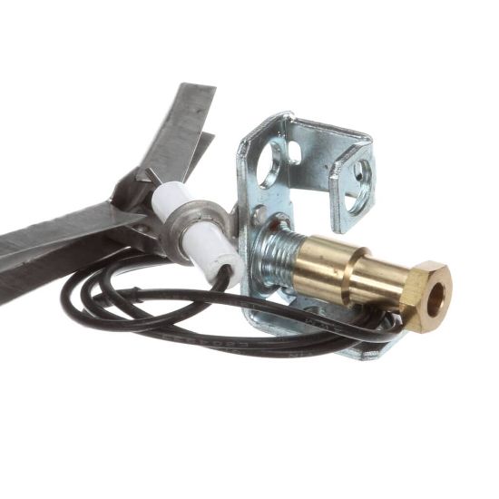 Picture of Globe U01211069001 Ods Flame Protection Ng