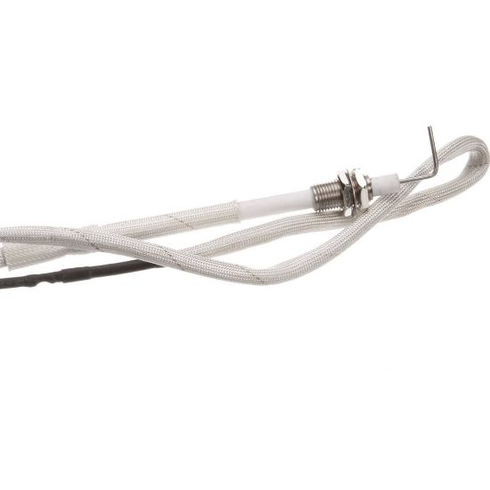 Picture of Globe U03991290123 Piezo Ignition Assembly