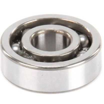 Picture of Globe X10117 Bearing