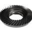 Picture of Globe X80D06 Gear (41T)