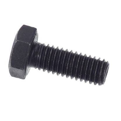 Picture of Globe X80H50 Screw