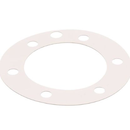 Picture of Globe XP1011 Fiber Gasket (Xvga/xvsa)