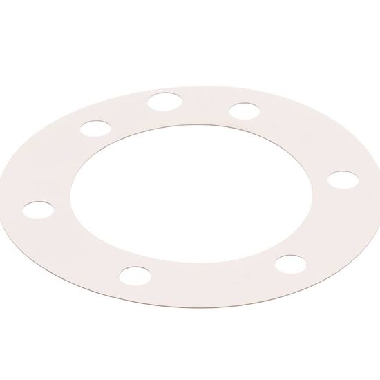 Picture of Globe XP1011 Fiber Gasket (Xvga/xvsa)